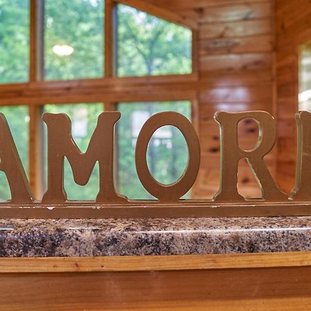 Chalet Damour Гетлинбург Екстериор снимка