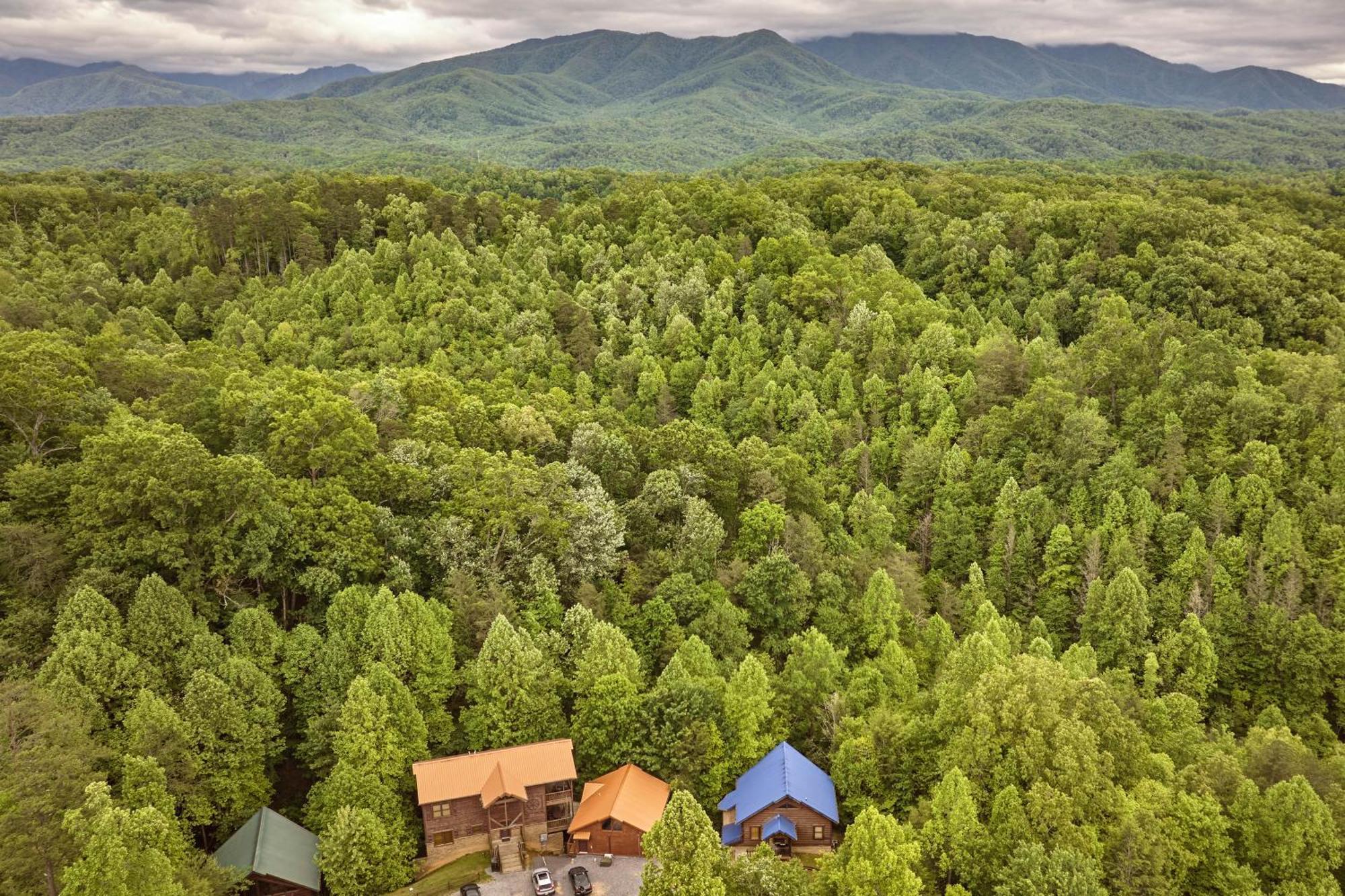 Chalet Damour Гетлинбург Екстериор снимка